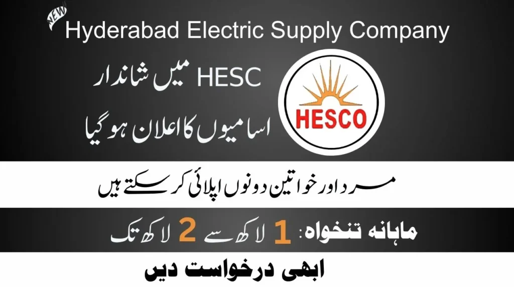 HESCO Jobs 2024 Application Form www.hesco.gov.pk